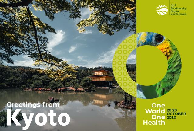 regga rantai GLF watermarked